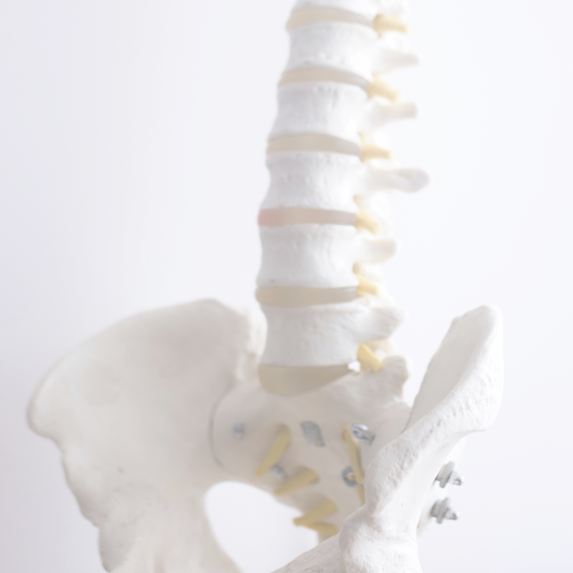 Spine care image